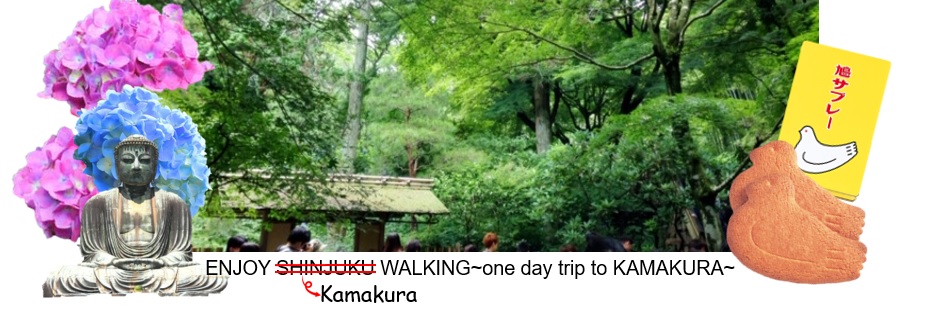 ENJOY KAMAKURA WALKING~one day trip to KAMAKURA~